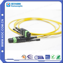 China Hersteller für MPO Plus Fiber Optic Jumper